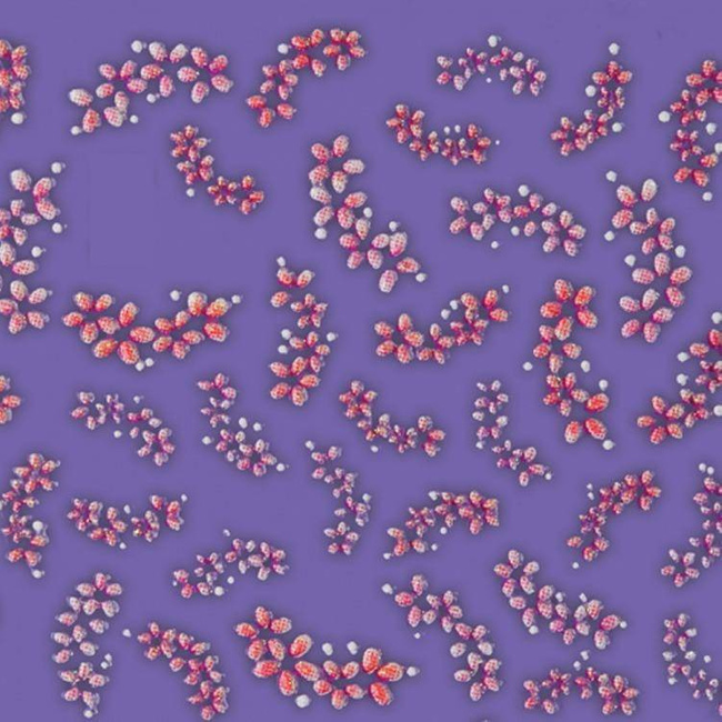 Nail stickers small red flowers