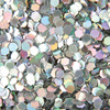 Honeycomb Hologram Glitter for Nails - Silver