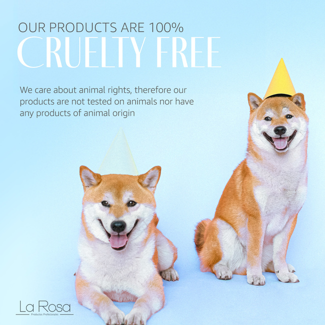 La Rosa Quick Drying TOP COAT, 10 ml