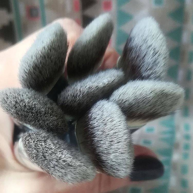 La Rosa Professional Wooden Blush Brush