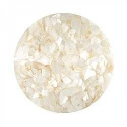 Sea Shell for Nail Art - White
