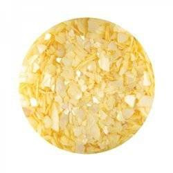 Sea Shell for Nail Art - Yellow