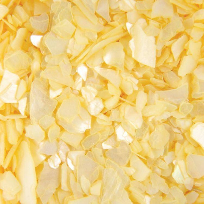 Sea Shell for Nail Art - Yellow