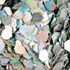 Honeycomb Hologram Glitter for Nails - Silver