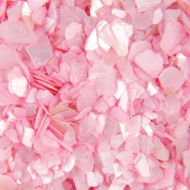 Sea Shell for Nail Art - Pink