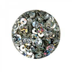 Hologram Sequins for Nail Design - Silver