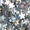 Hologram Flowers for Nail Design - Silver