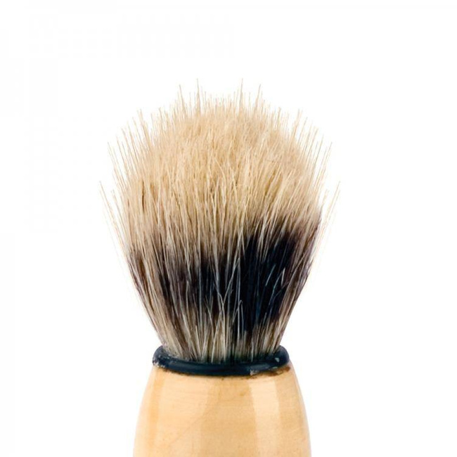 Natural bristle shaving brush