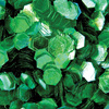 Honeycomb Hologram Glitter for Nails - Green