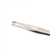 Angled Eyebrow Tweezers Rosie