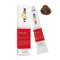 8.3 Light Golden Blonde 
