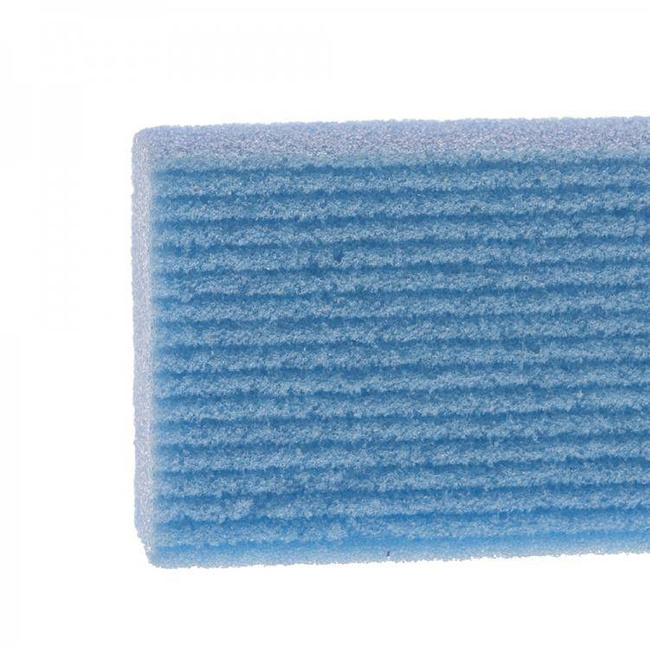 Cosmetic Pumice Stone - blue