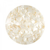 Sea Shell for Nail Art - White